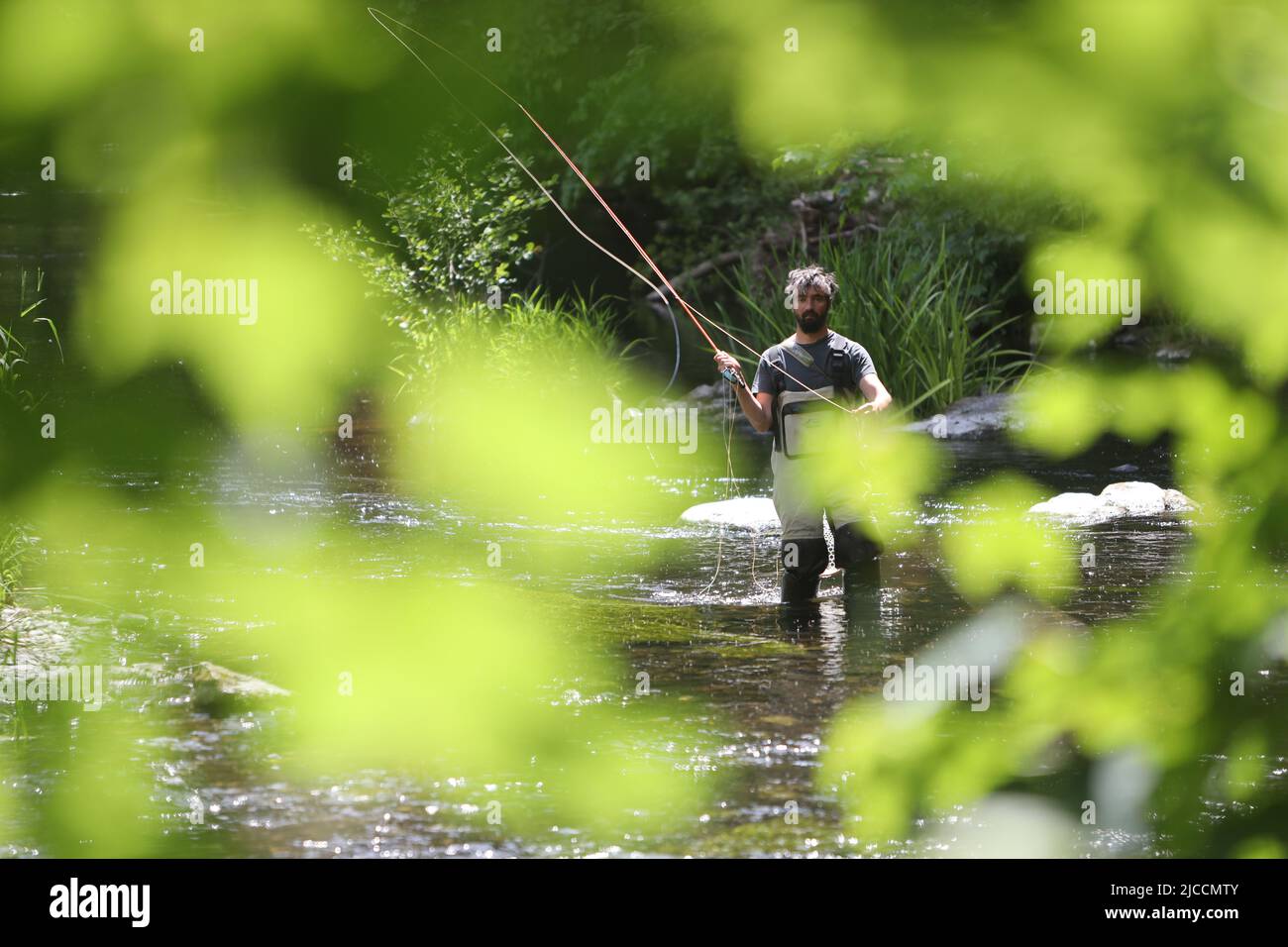 12 giugno 2022, Sassonia-Anhalt, Altenbrak: Un pescatore a mosca si erge con la sua canna da pesca nel fiume Bode e pesca per la trota bruna Harz. La stagione chiusa per la trota è terminata da aprile. Ora i pesci predatori possono essere cacciati di nuovo. La stagione termina a settembre. La pesca a mosca si differenzia dalla pesca in ghisa principalmente per il metodo di fusione dell'esca. Nella pesca a mosca, la linea del mosca stessa agisce come un peso, con una cosiddetta ninfa attaccata alla relativa fine. I pescatori esperti del mosca riescono a gettare una linea volante di oltre 25 metri. Foto: Matthias Bein/dpa Foto Stock