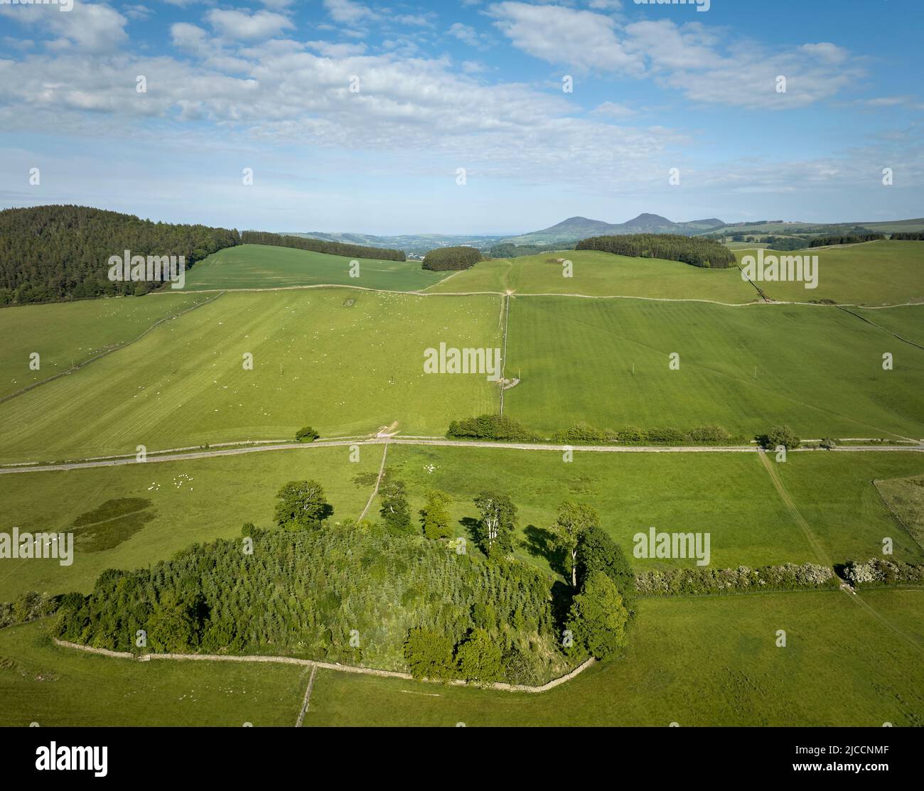 Volo aereo di terra agricola intorno alle Galashiels ai confini scozzesi. Foto Stock