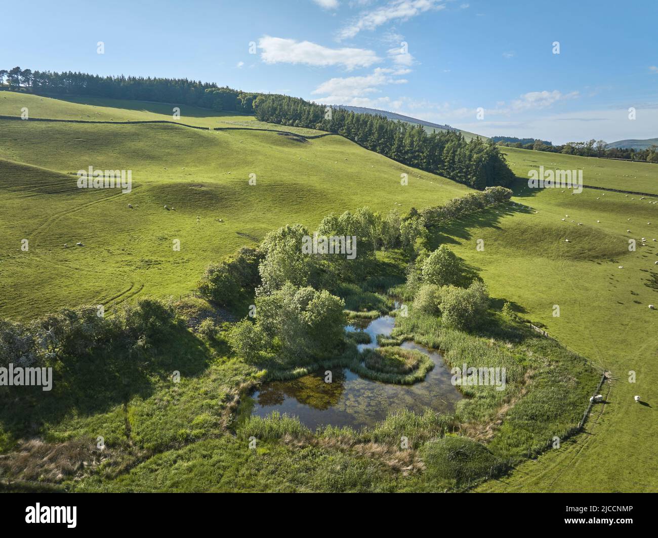 Volo aereo di terra agricola intorno alle Galashiels ai confini scozzesi. Foto Stock