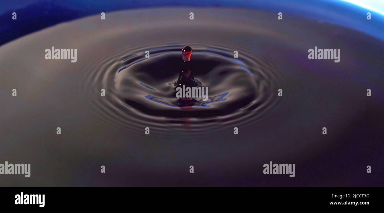 Water drop Fotografia, primo piano di gocce d'acqua rossa in acqua di colore blu scuro. Foto Stock