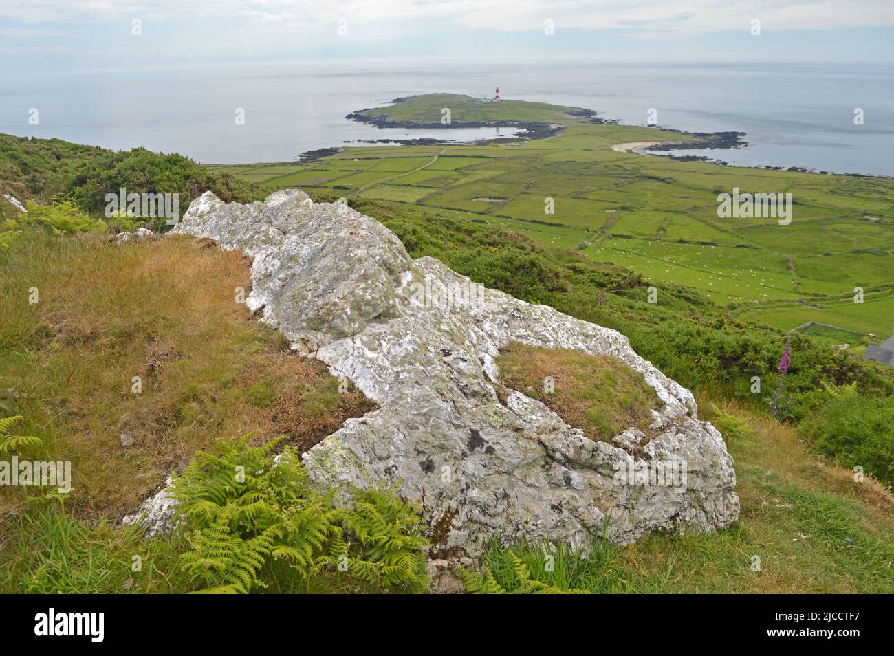 Faro e costa dell'isola di Bardsey Foto Stock