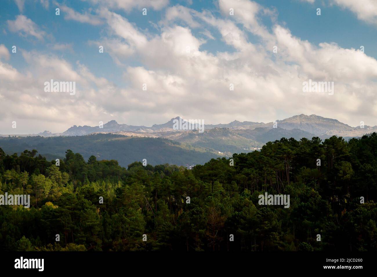 Verde paesaggio di montagna nel Parco Naturale Serra do Xurés-Baixa Limia, Ourense, Spagna Foto Stock