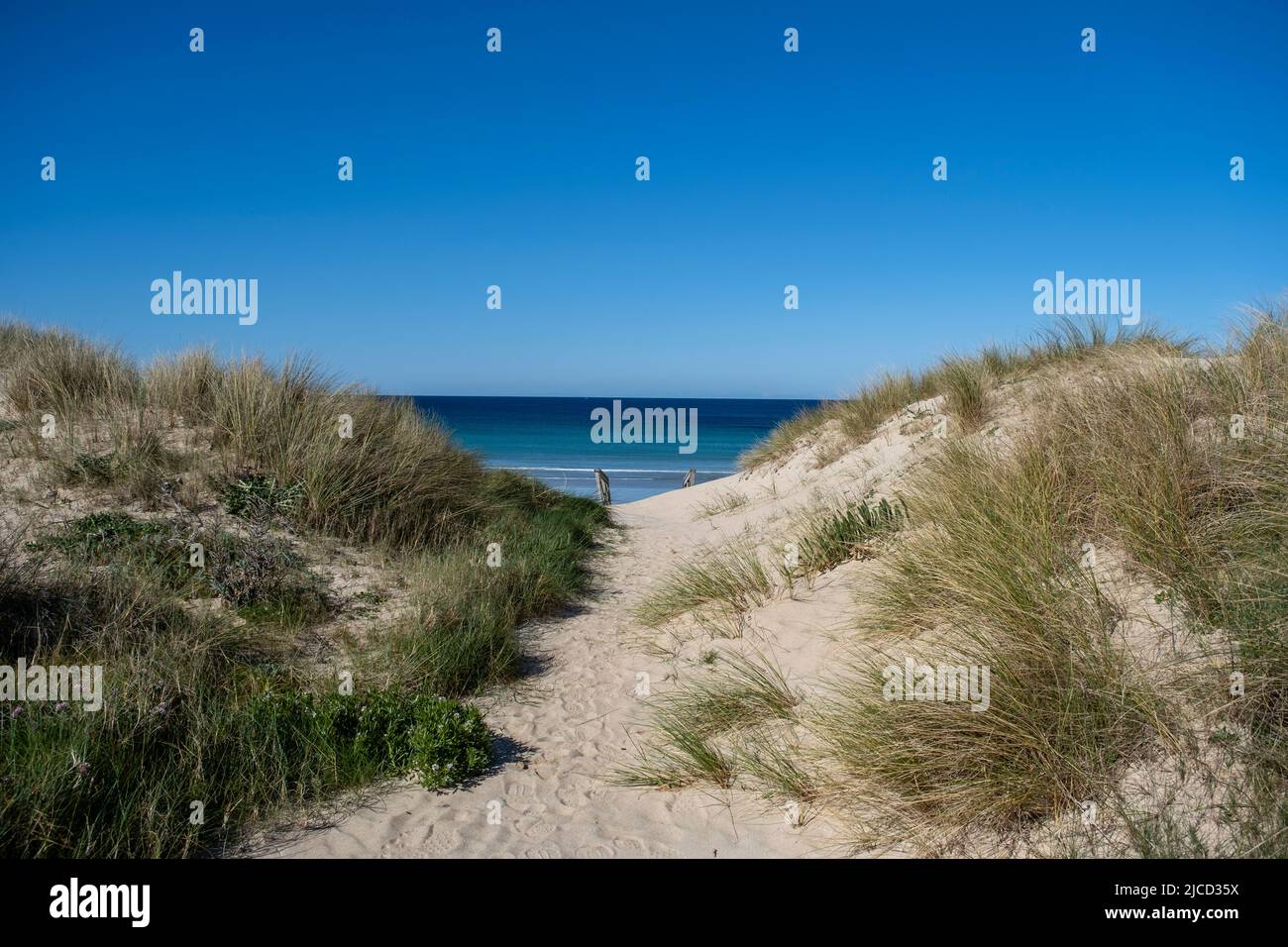 Dune di sabbia in Una spiaggia di Lanzada, Galizia, Spagna Foto Stock