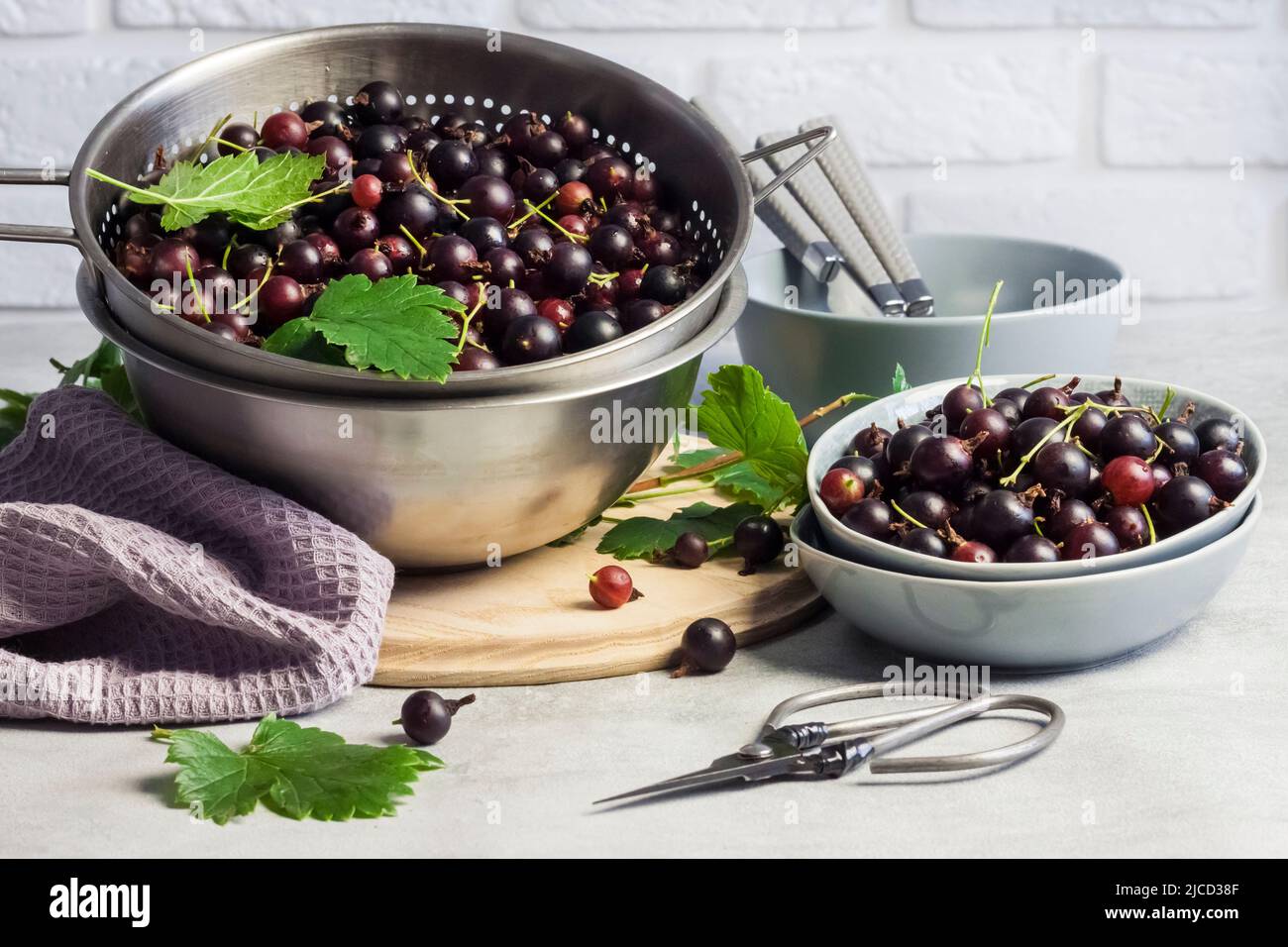 La jostaberry (Ribes x nidigrolaria) ibrido di un ribes nero e uva spina Foto Stock