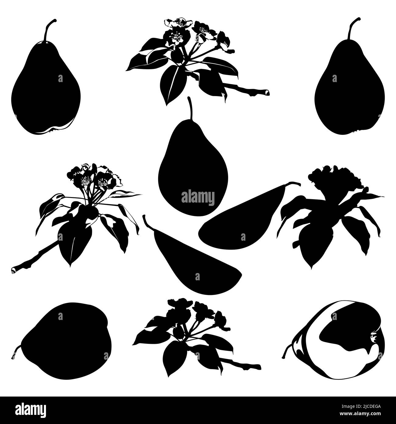 Fiore di pera, pera verde intero, metà, quarto di fette. Frutta matura, succosa, vettore. Illustrazione Vettoriale