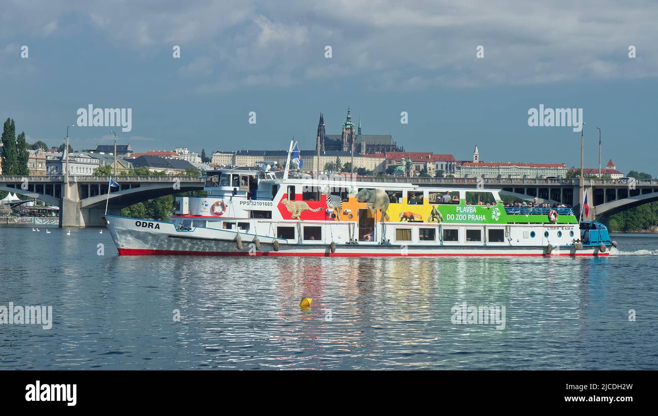 PRAGA - 11 giugno: Crociera barca Odra lascia il molo e salpa per lo zoo il 11 giugno 2022 sul fiume Moldava, Repubblica Ceca. Castello di Praga a backgr Foto Stock