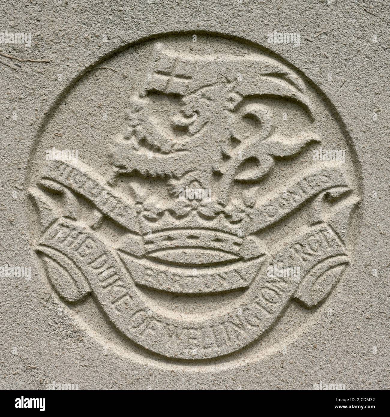 Insegne militari del WW2 - emblema militare dell'esercito britannico sulla testa di un soldato - il reggimento del duca di Wellington Foto Stock