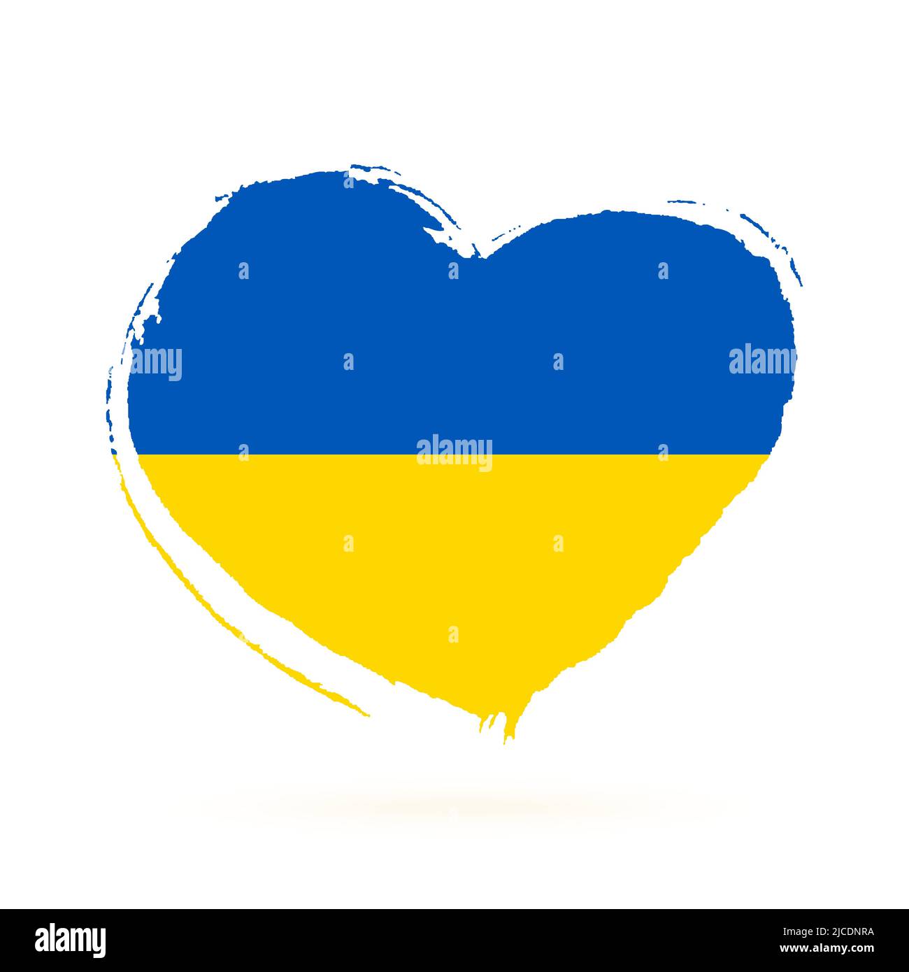 Cuore di colore blu e giallo, i colori della bandiera nazionale dell'Ucraina. Isolato su sfondo bianco. Illustrazione Vettoriale