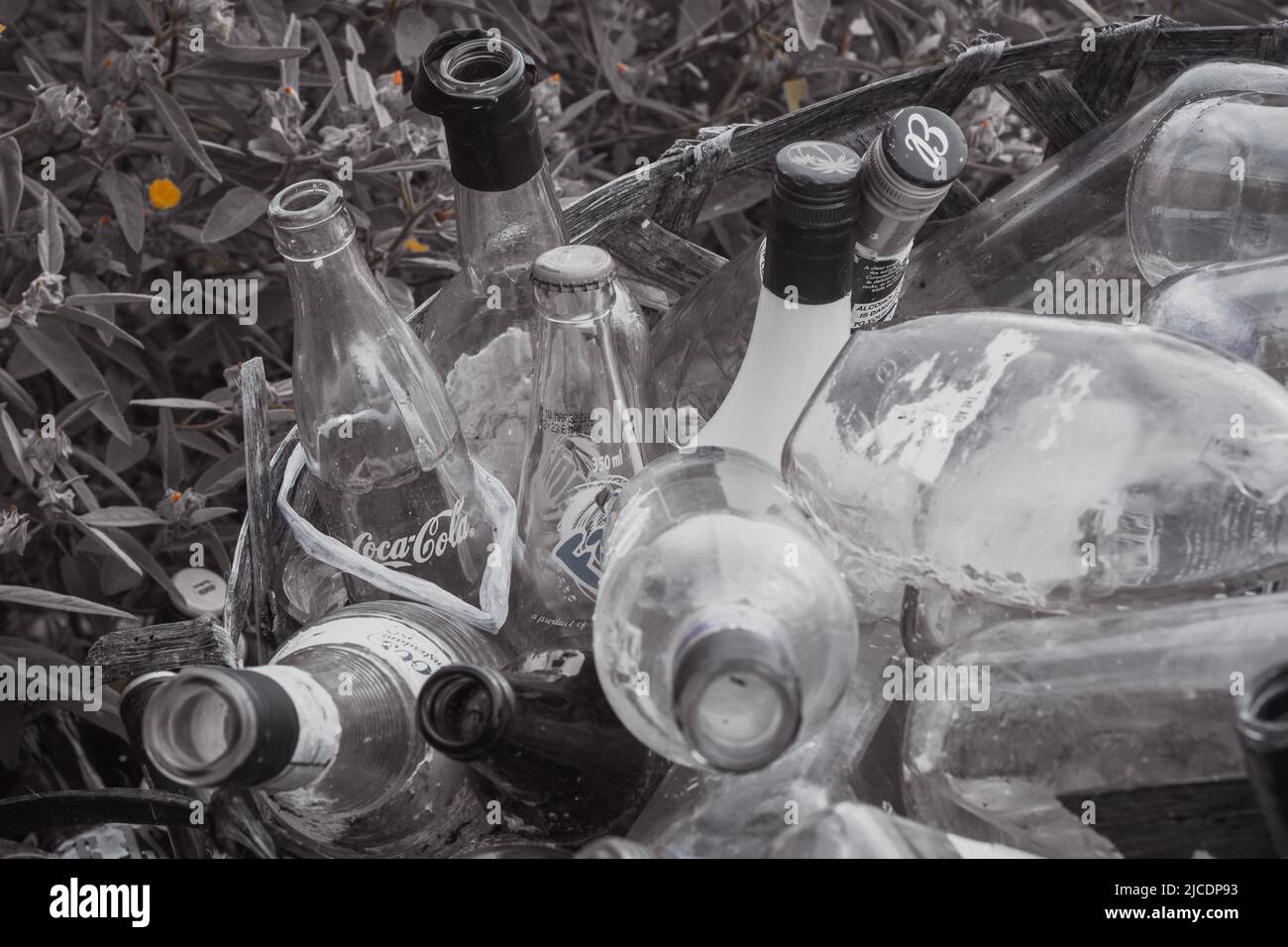 Foto HD del secchio vintage delle bottiglie Foto Stock