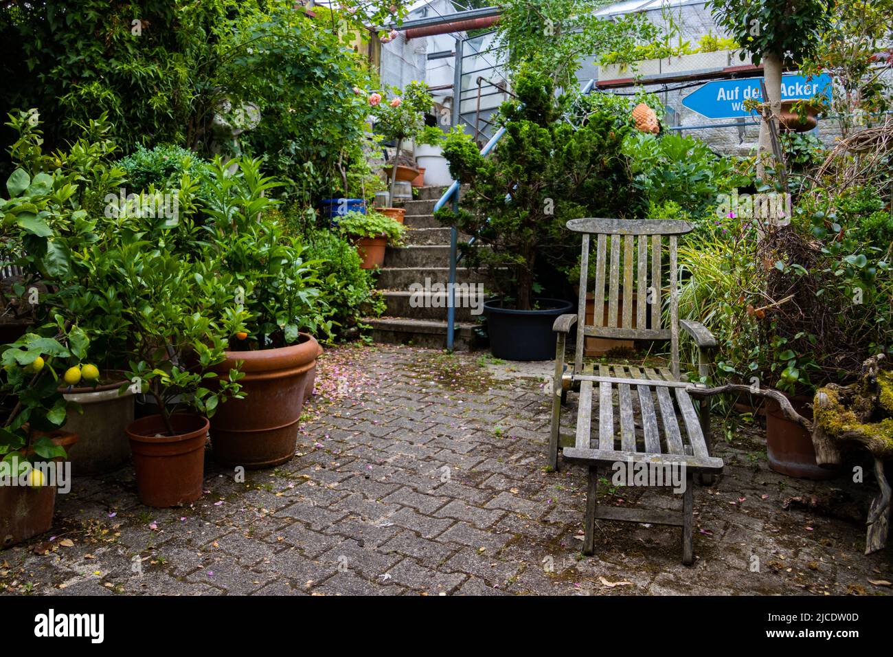 Vecchio lettino in legno d'epoca circondato da piante in un giardino Foto Stock