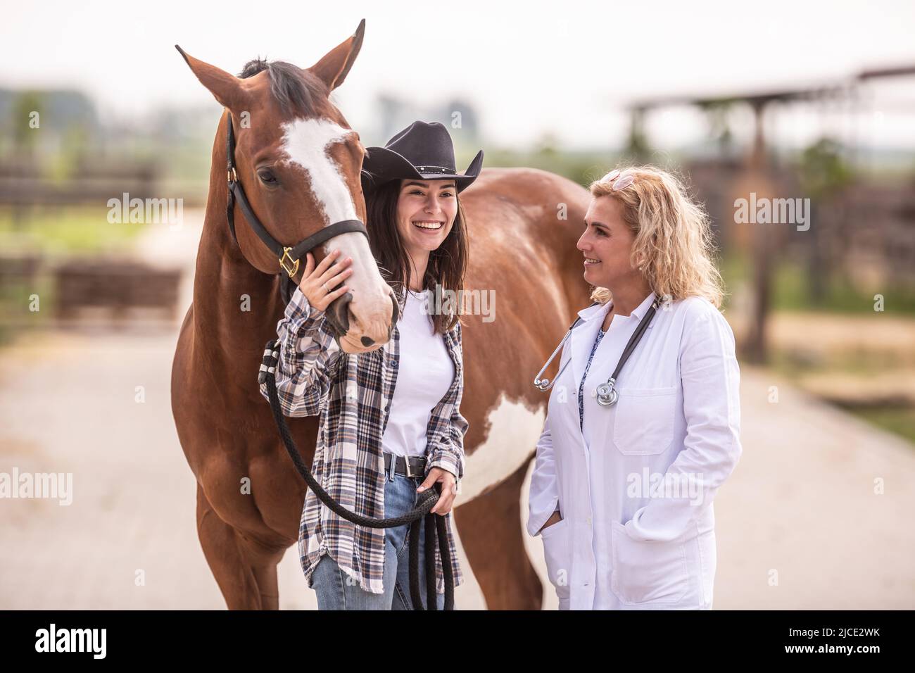 Vet e il proprietario del cavallo stanno facendo una chiacchierata e ridono insieme dopo il controllo di routine. Foto Stock