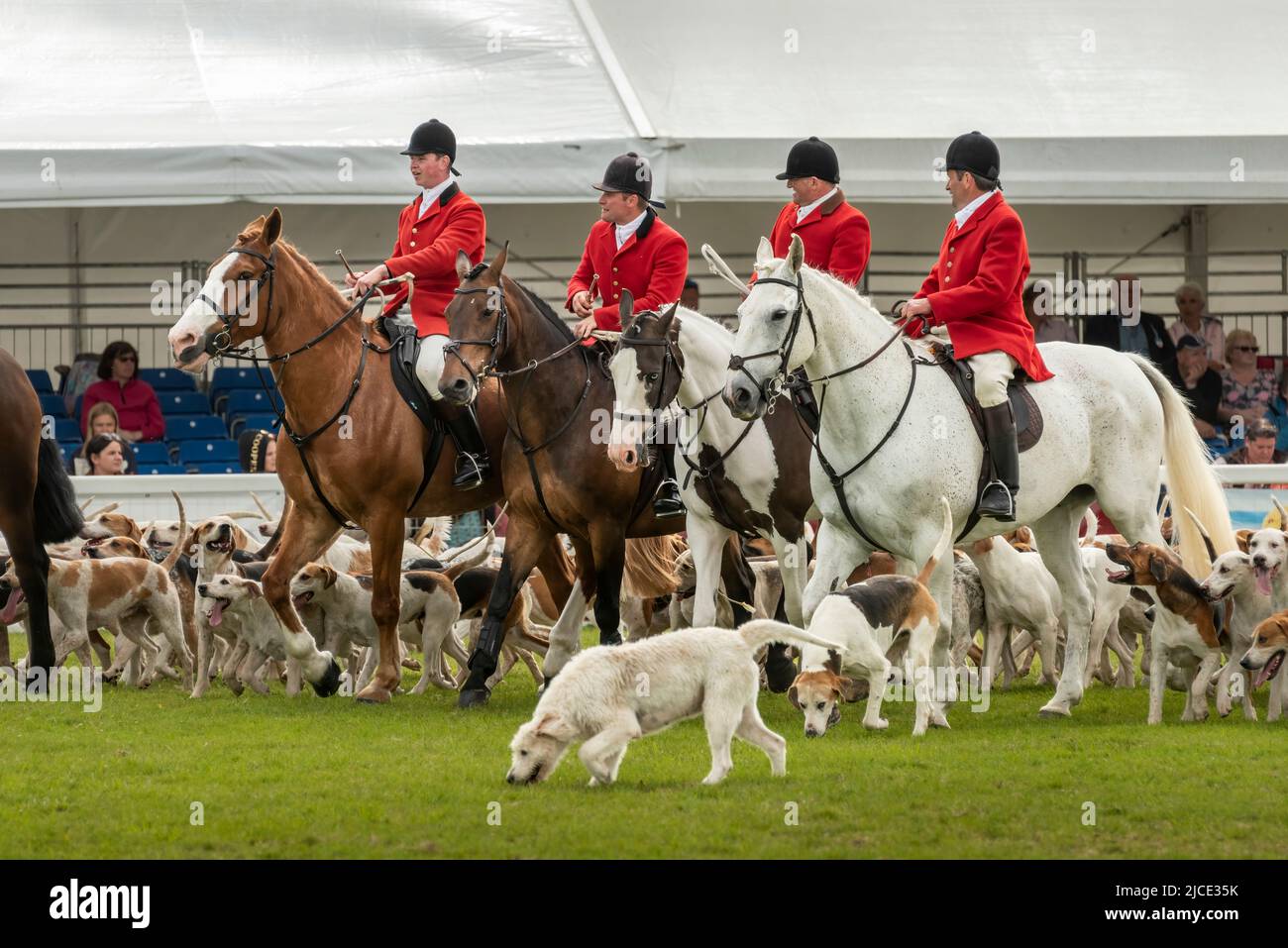 Wadebridge, Cornovaglia, Inghilterra. Sabato 11th Giugno 2022. Dopo un'assenza di due anni a causa di Covid, l'ultimo giorno del Royal Cornwall Show ha disegnato grande c Foto Stock