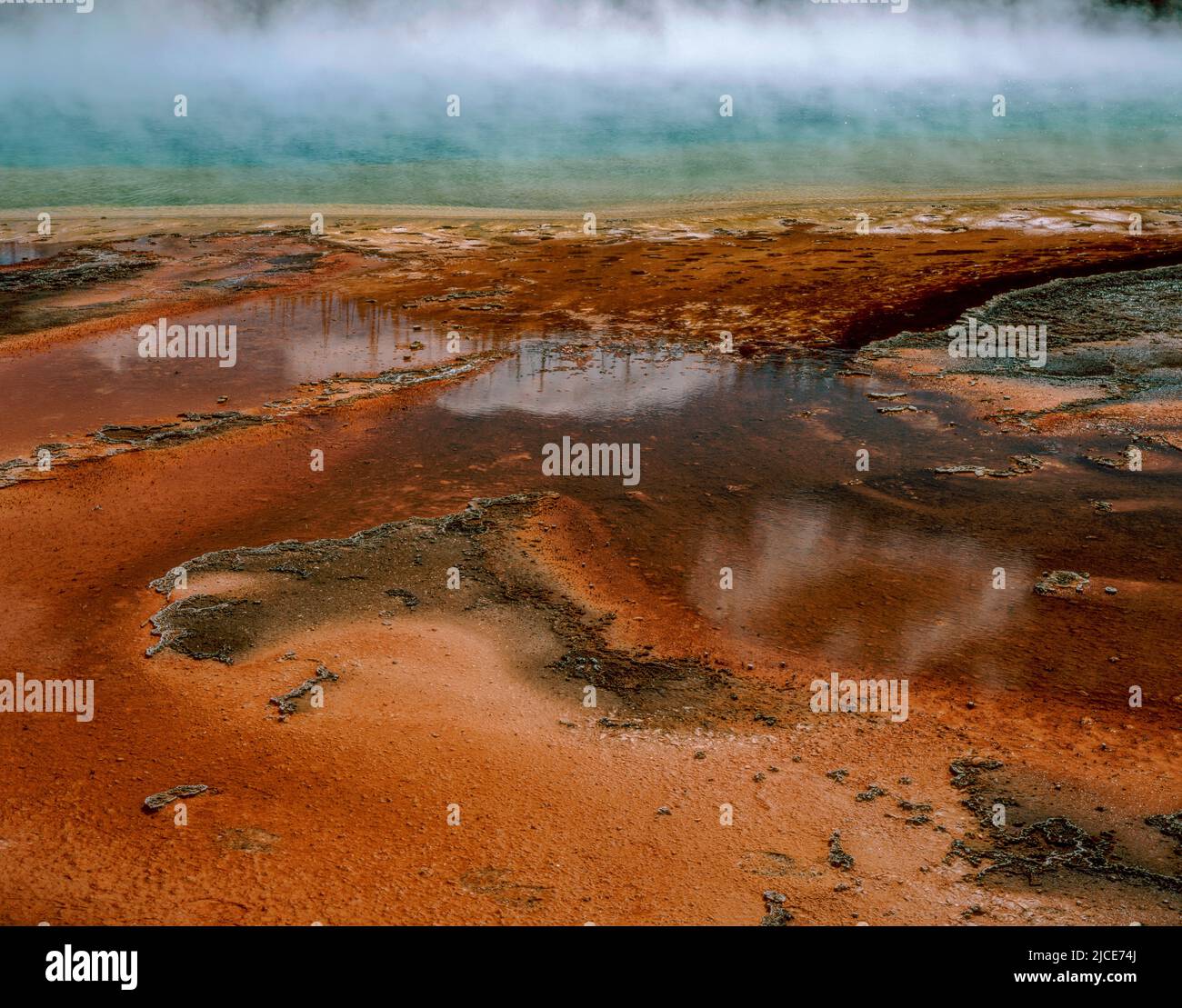 Grand Prismatic Spring, Midway Geyser Basin, il Parco Nazionale di Yellowstone, Wyoming Foto Stock