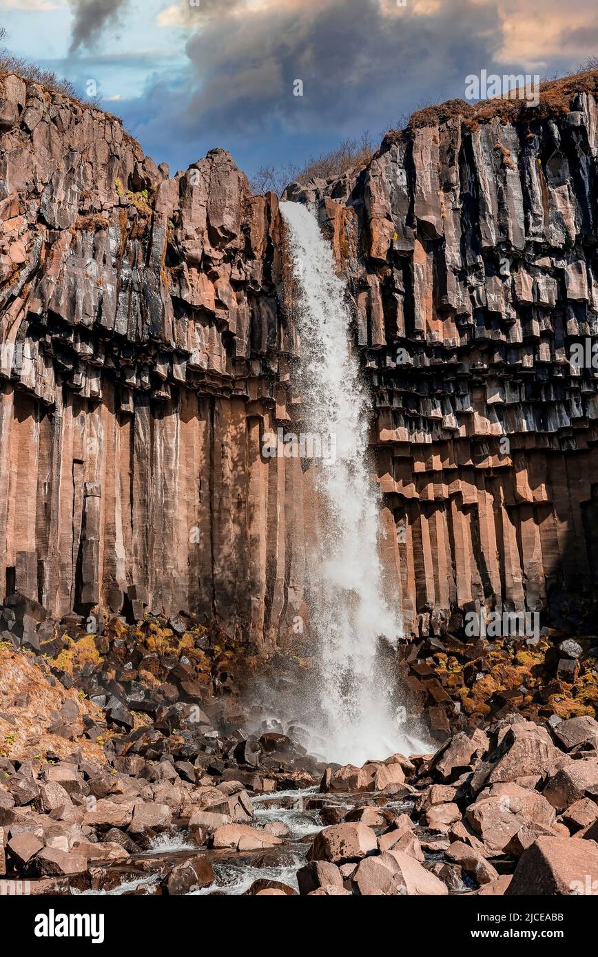 Cascate potenti di cascata di Svartifoss tra colonne di basalto nel parco nazionale Foto Stock