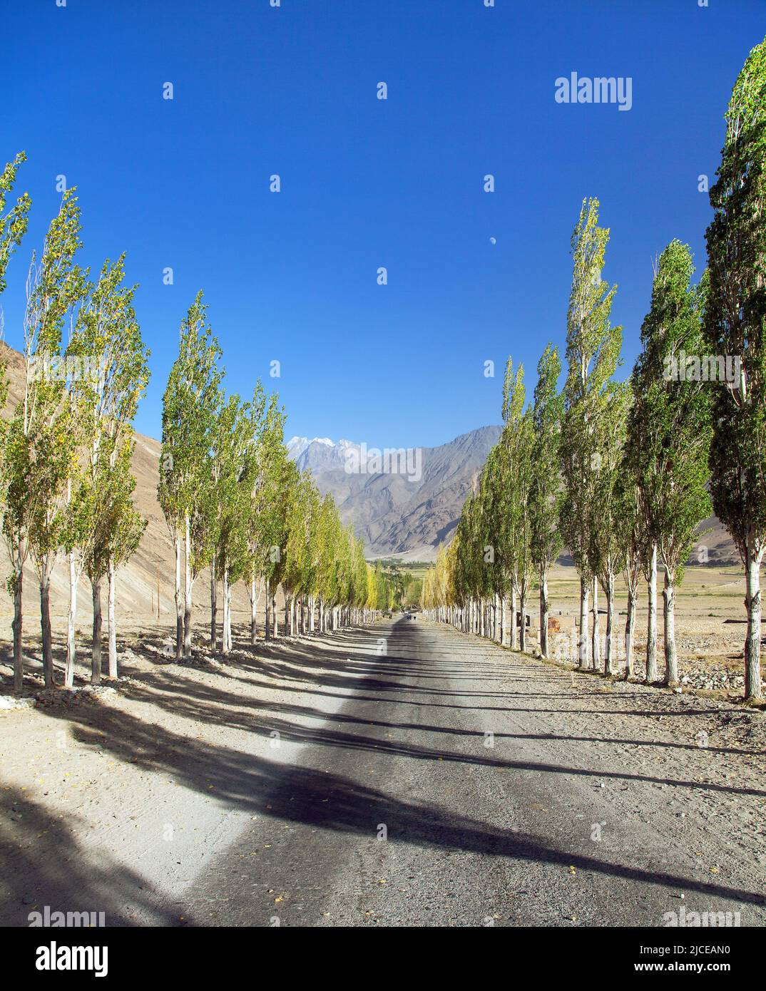 Pamir strada, strada e vicolo di alberi di pioppo e Pamir montagne, Wakhan corridoio e valle, Gorno-Badakhshan regione, Tagikistan Foto Stock