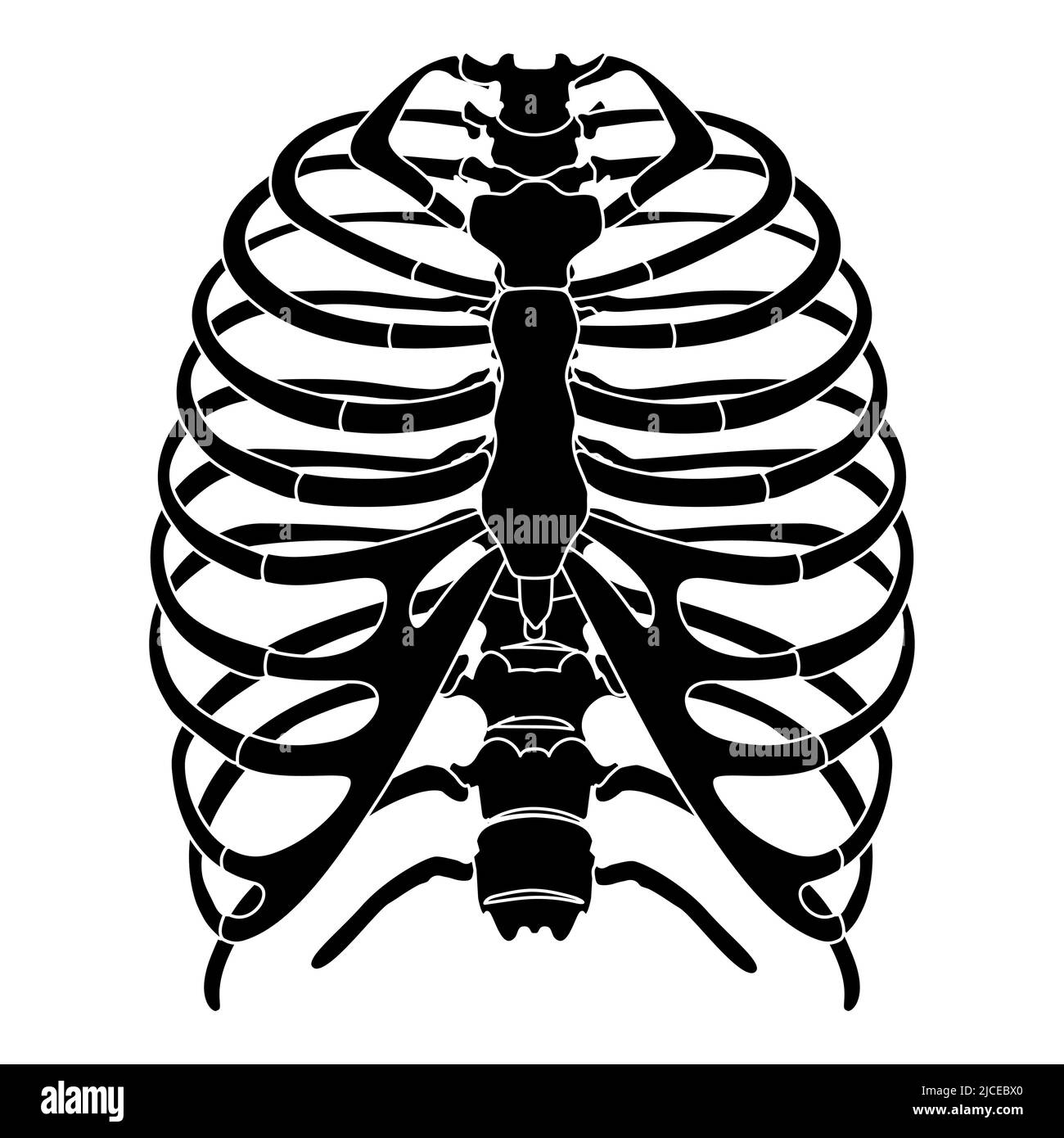 Scheletro umano Rib gabbia silhouette corpo ossa - sterno, torace, vertebra toracica, sterno, vista anteriore anteriore anteriore anteriore piatto nero concetto vettoriale illustrazione di anatomia isolata su sfondo bianco Illustrazione Vettoriale