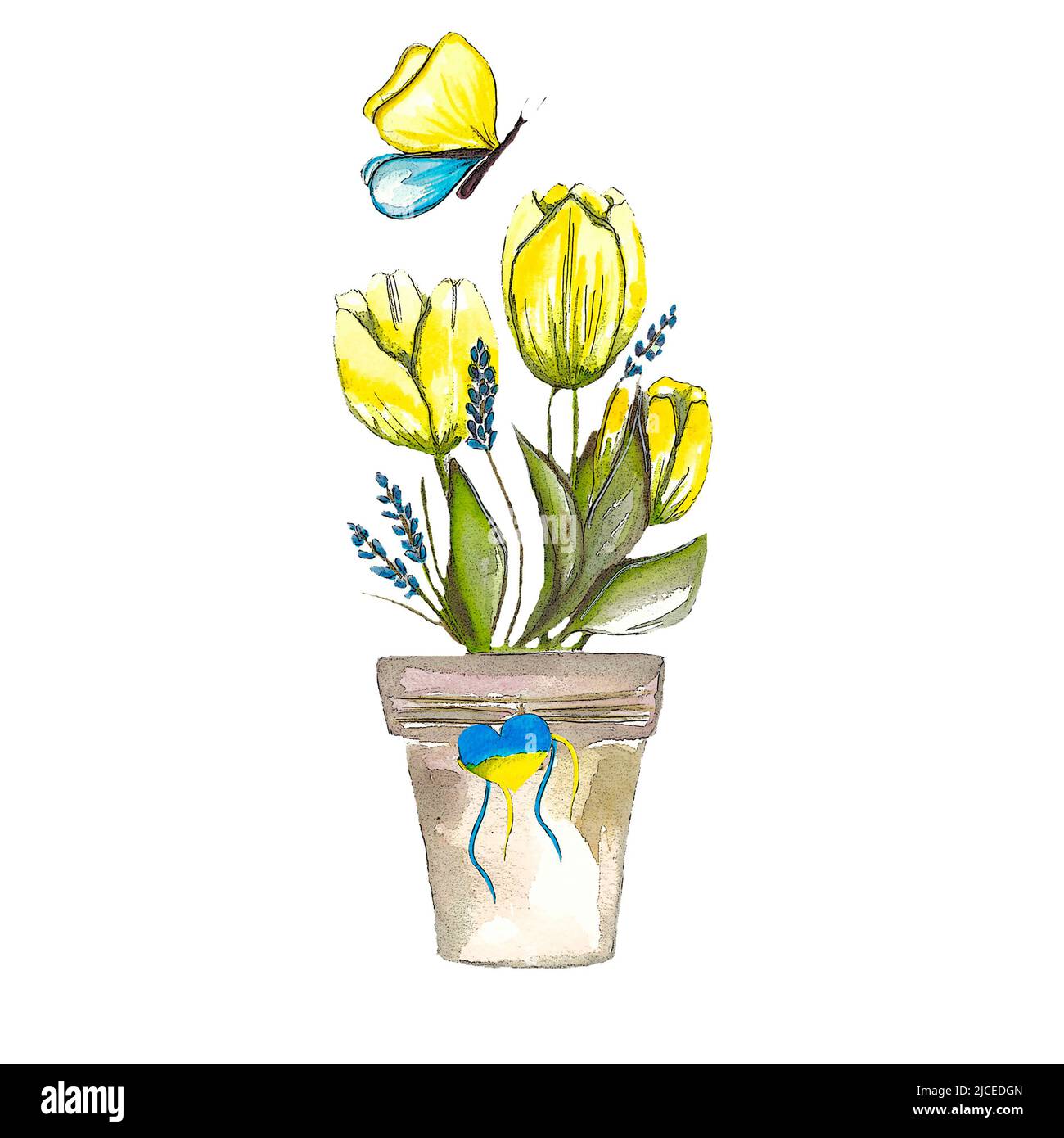 Tulipani gialli in vaso con buterfly, blu e giallo, isolato, colori ucraini, sostenere l'Ucraina. Foto Stock