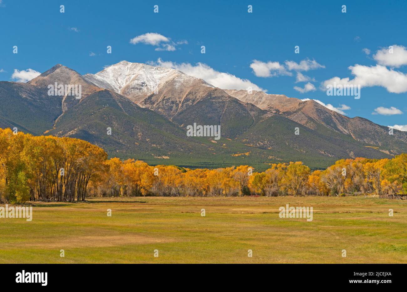 Mountain Meadow in autunno vicino a Fairplay, Colorado Foto Stock