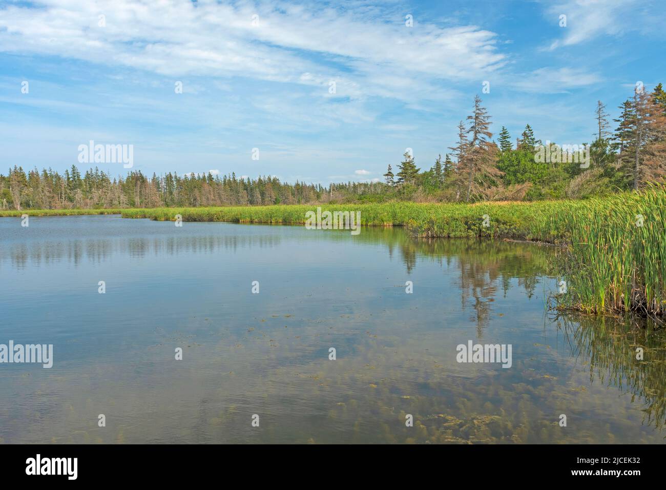 Quiet Day on Coastal Pond nel Parco Nazionale dell'Isola del Principe Edoardo in Canada Foto Stock
