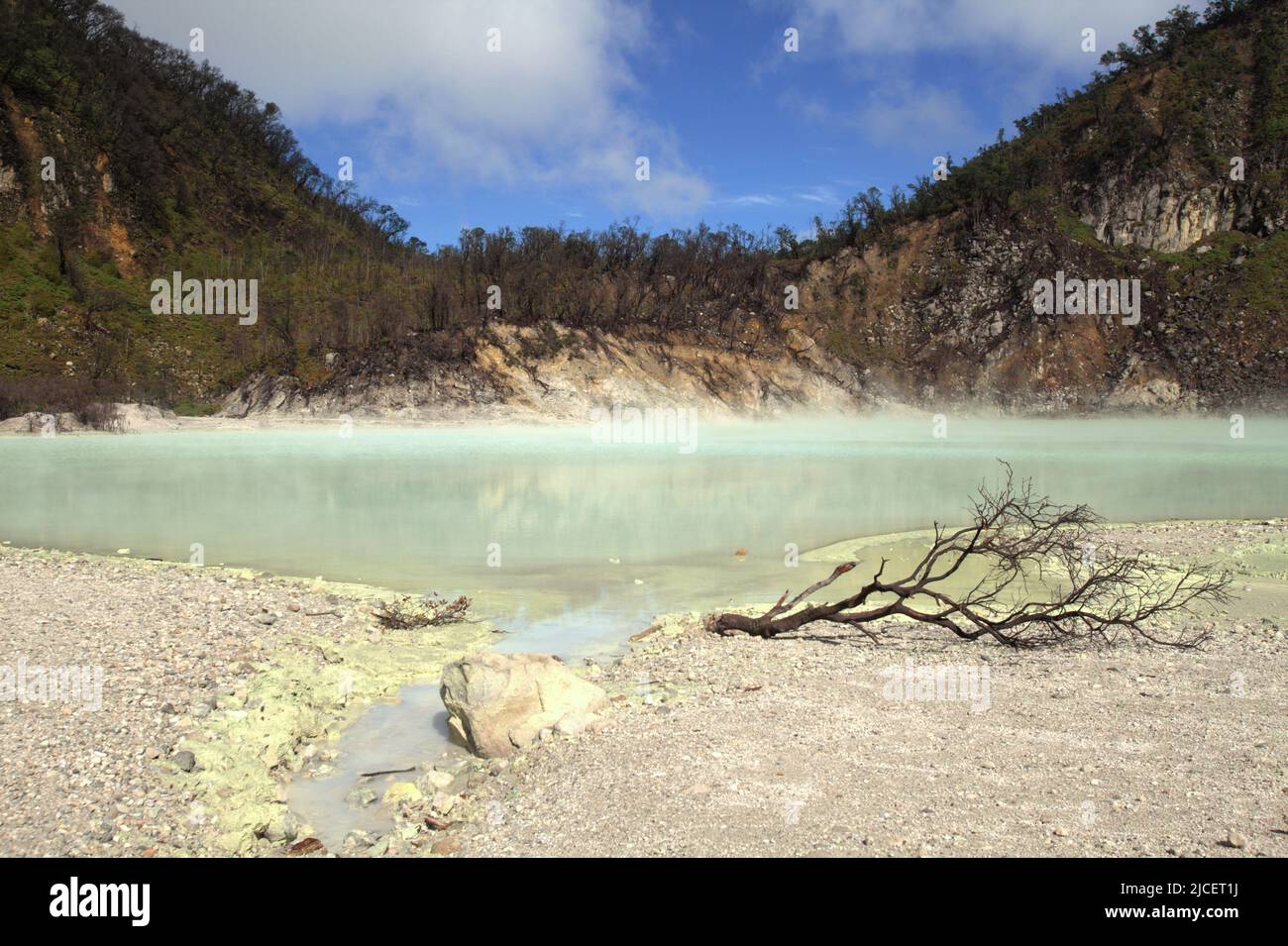 Lago cratere del Monte Patuha, che è popolarmente noto come Kawah Putih (cratere bianco) in Ciwidey, Bandung, Giava occidentale, Indonesia. Foto Stock