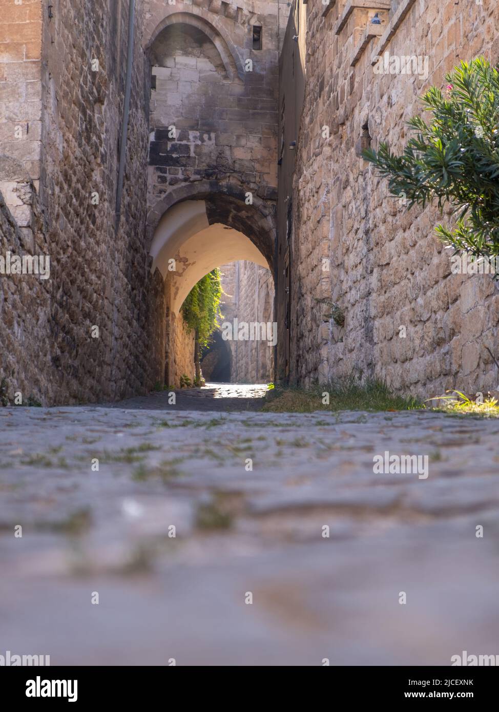 La città di Mardin nella Turchia orientale, una città medievale famosa per la sua disposizione a gradini e le tortuose strade a tunnel Foto Stock