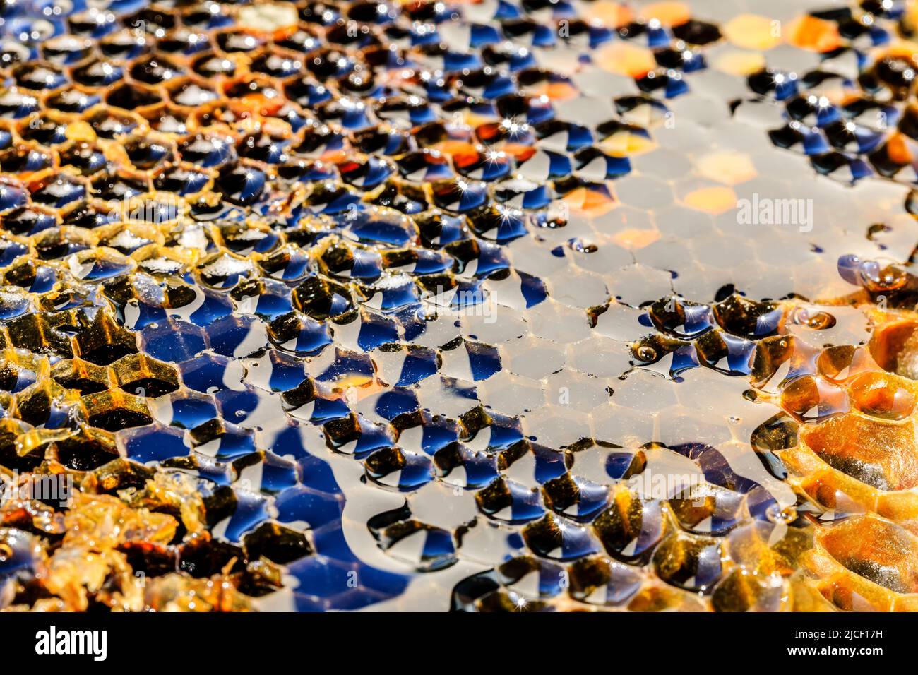 Struttura e motivo a nido d'ape e miele. Miele fresco cibo naturale. Foto Stock