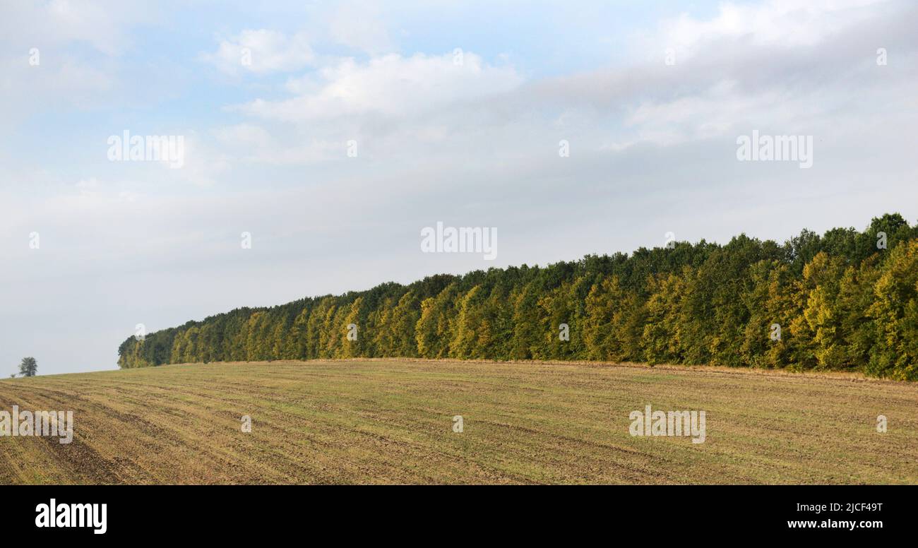 Terreno agricolo in Ucraina centrale. Foto Stock