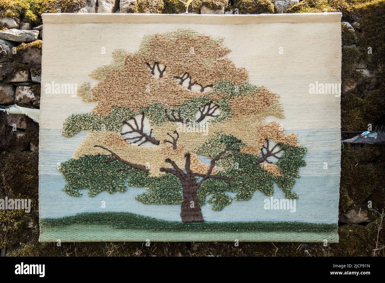 Illustrazione raffigurante il magnifico albero di quercia di Cappelside in mostra all'Open Farm Domenica 10th Giugno 2022 al Cappleside Farm, Rathmell, Yorkshire. Foto Stock