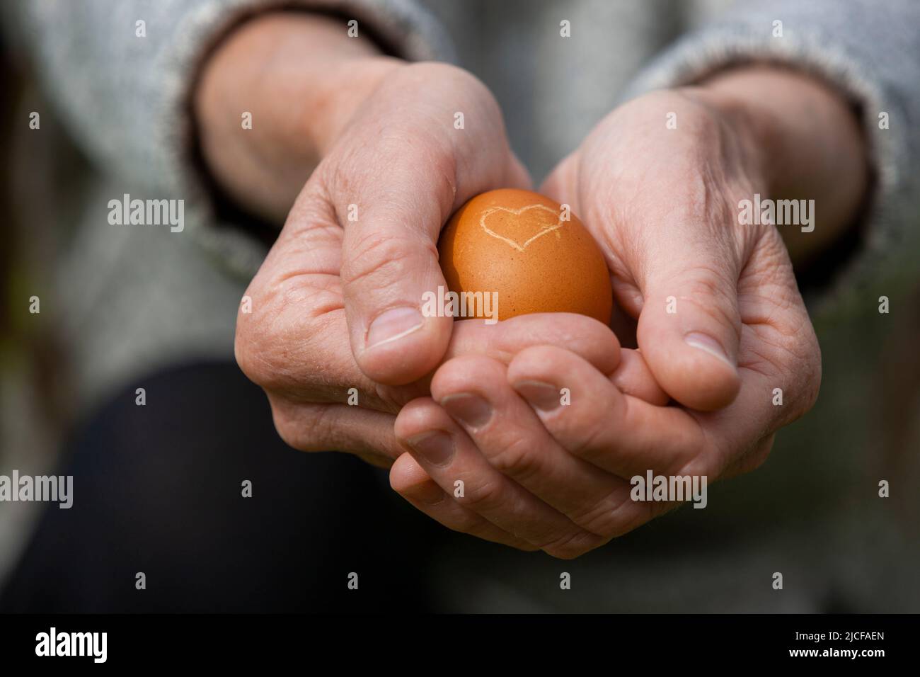 Uovo con cuore tenuto dalle mani Foto Stock