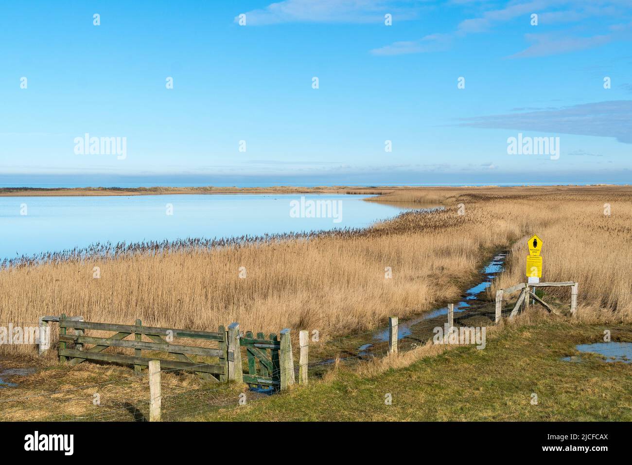 Mar Baltico isola Fehmarn, riserva naturale Westermarkelsdorfer Huk, marshy sentiero escursionistico Foto Stock