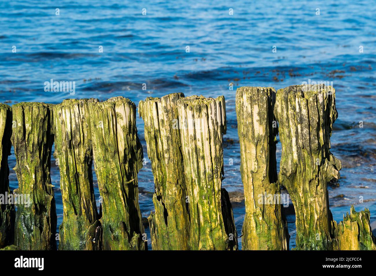 Flensburg Fjord, spiaggia vicino a Wackerballig, tempo groyne Foto Stock