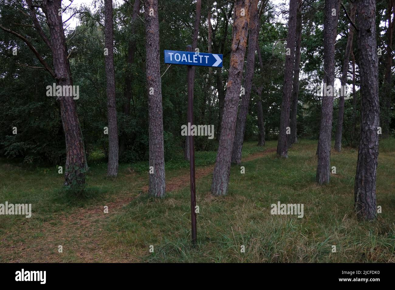 Svezia, Skane, Scania, Falsterbo, cartello da toletta in natura Foto Stock