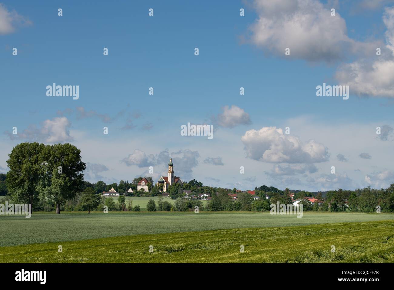 Paesaggio girato in Baviera. All'orizzonte la chiesa di pellegrinaggio di Biberbach. In primo piano alberi e un campo verde di grano. Nel cielo blu sono Foto Stock