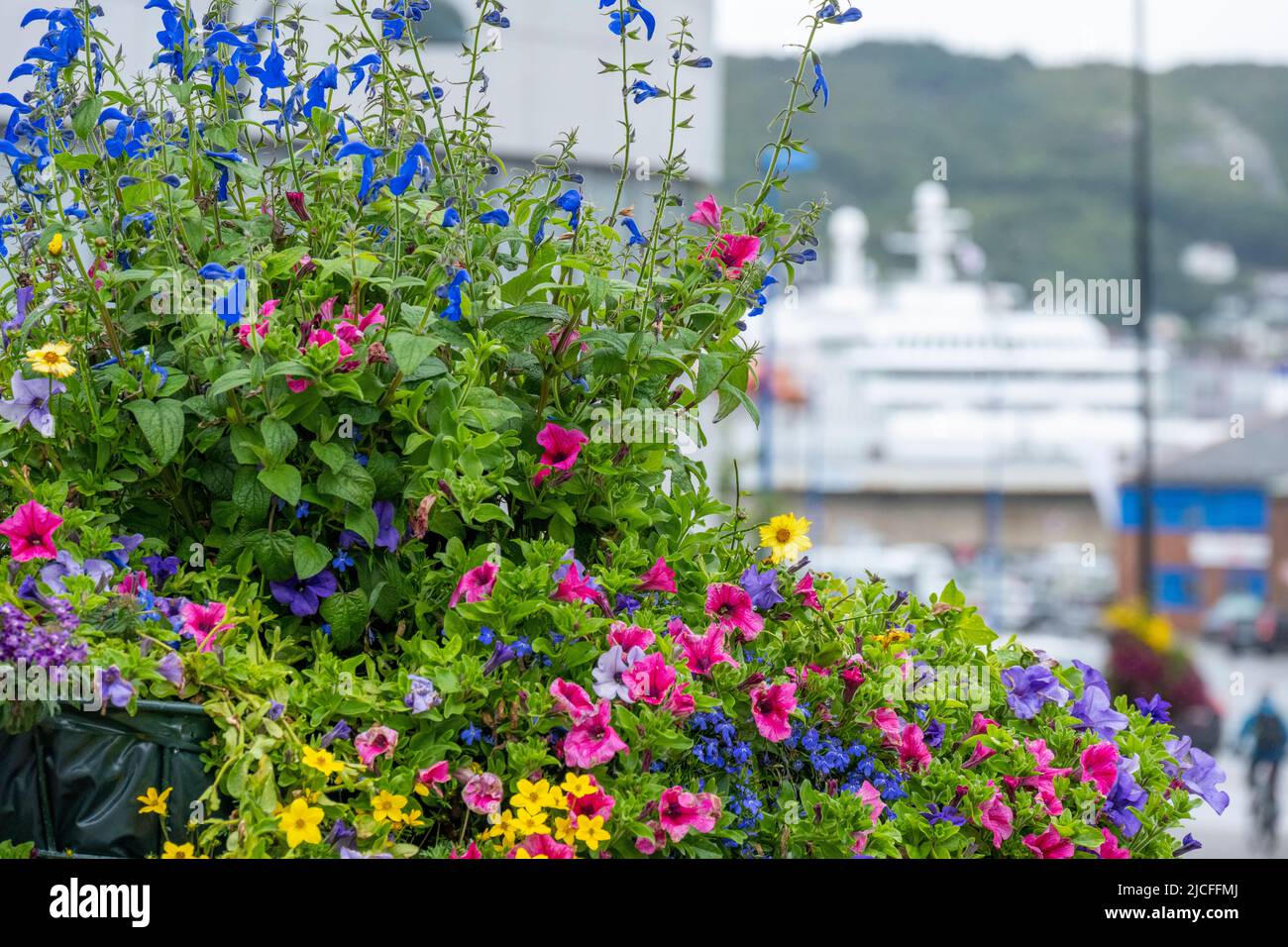 Norvegia, Nordland, Bodø, città verde al porto. Foto Stock