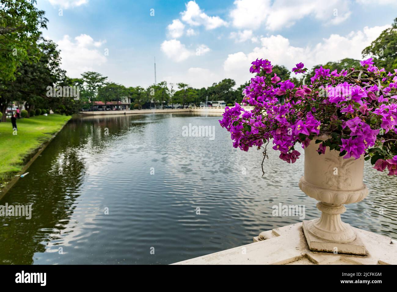 Bougainvillea, Bang Pa-in, Royal Family Summer Palace, Chao Phraya River, Phra Nakhon si Ayutthaya Provincia, Thailandia Foto Stock