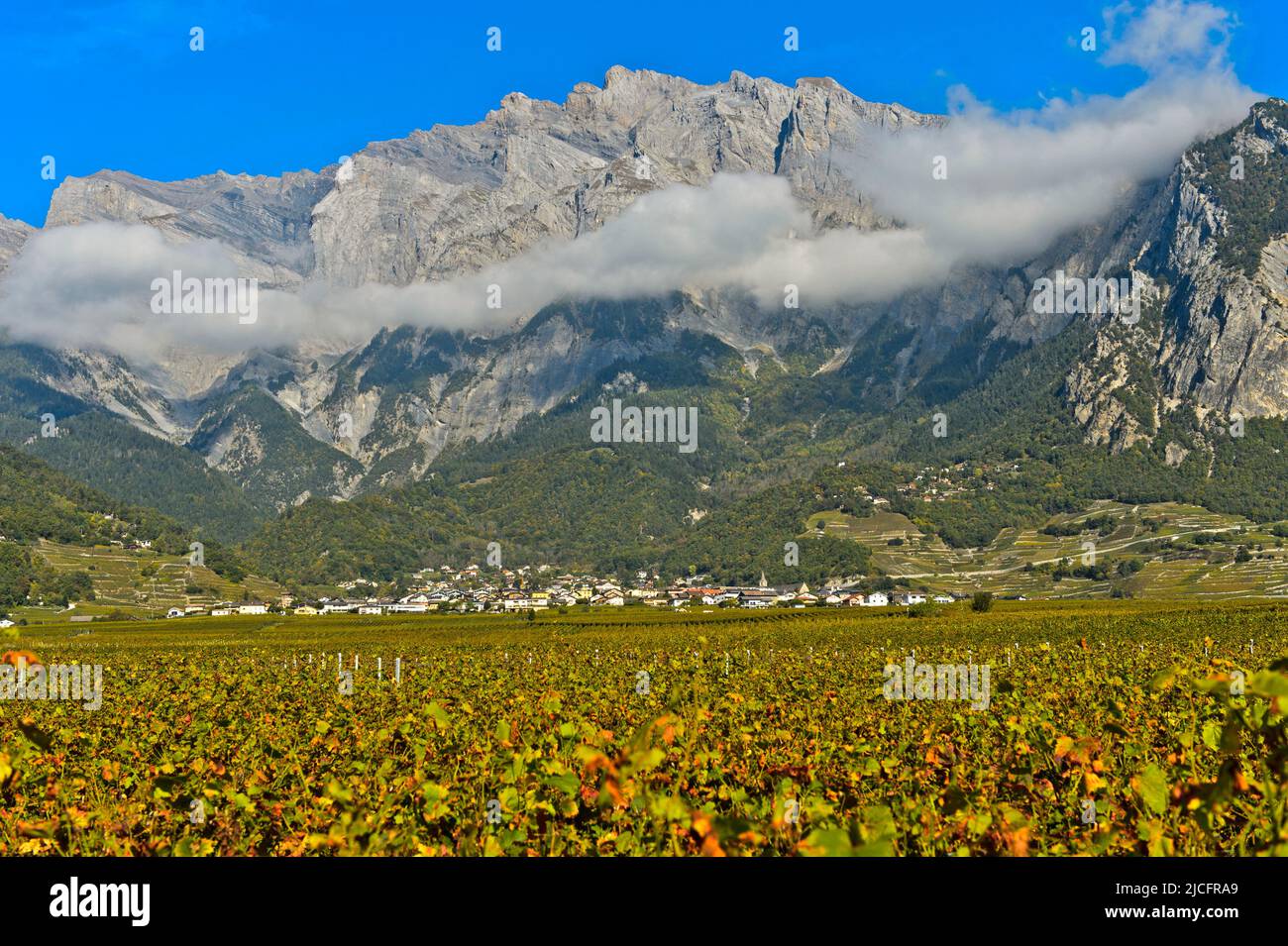 Il villaggio del vino di Chamoson circondato da vigneti di fronte alle pareti rocciose del picco Haut de Cry, Chamoson, Vallese, Svizzera Foto Stock
