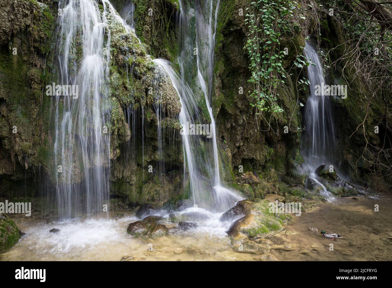 Cascata nel Parco Nazionale di Krka, Contea di Sibenik-Knin, Dalmazia, Croazia, Europa Foto Stock