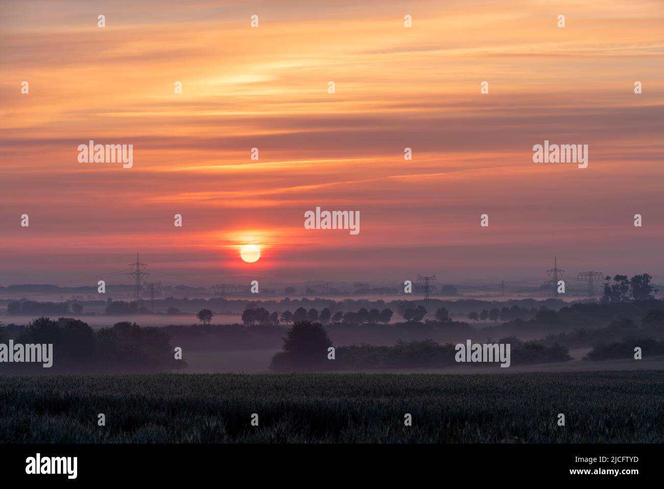 Alba, nebbia mattutina, poli di potenza, Magdeburger Börde, Irxleben, Sassonia-Anhalt, Germania Foto Stock
