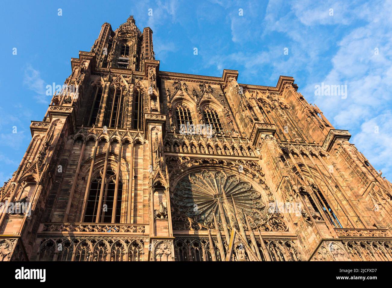 Francia, Alsazia, Cattedrale di Strasburgo, facciata principale Foto Stock