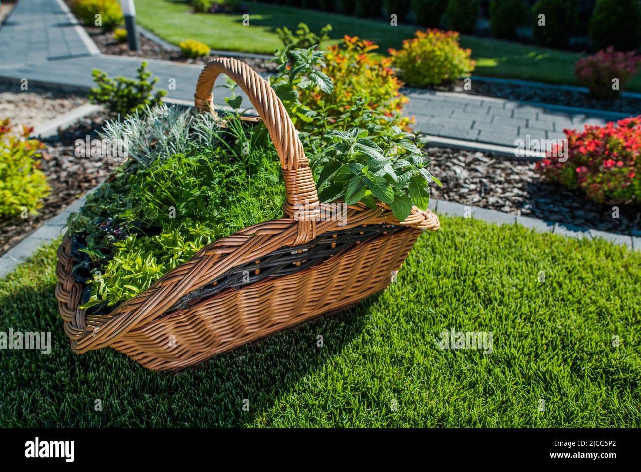 Idea di decorare un giardino del cortile con il cestino del tessuto grande riempito con le piante verdi differenti. Architettura paesaggistica e tema di progettazione floreale. Foto Stock