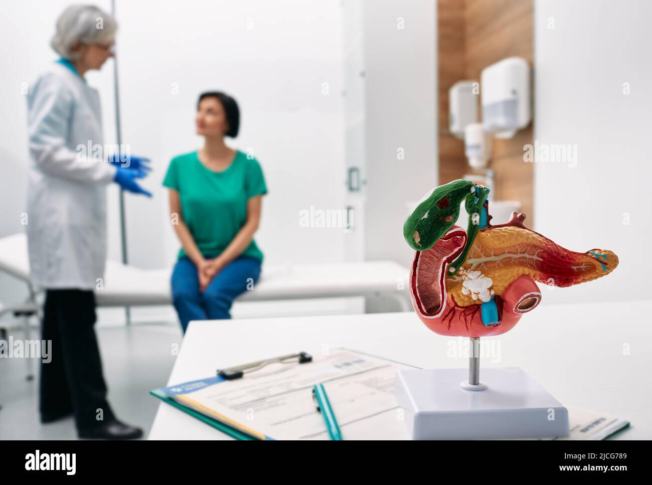 Consulenza gastroenterologica. Modello anatomico del pancreas sul tavolo del medico sopra il fondo gastroenterologist che consulta il paziente della donna con la gastroint Foto Stock