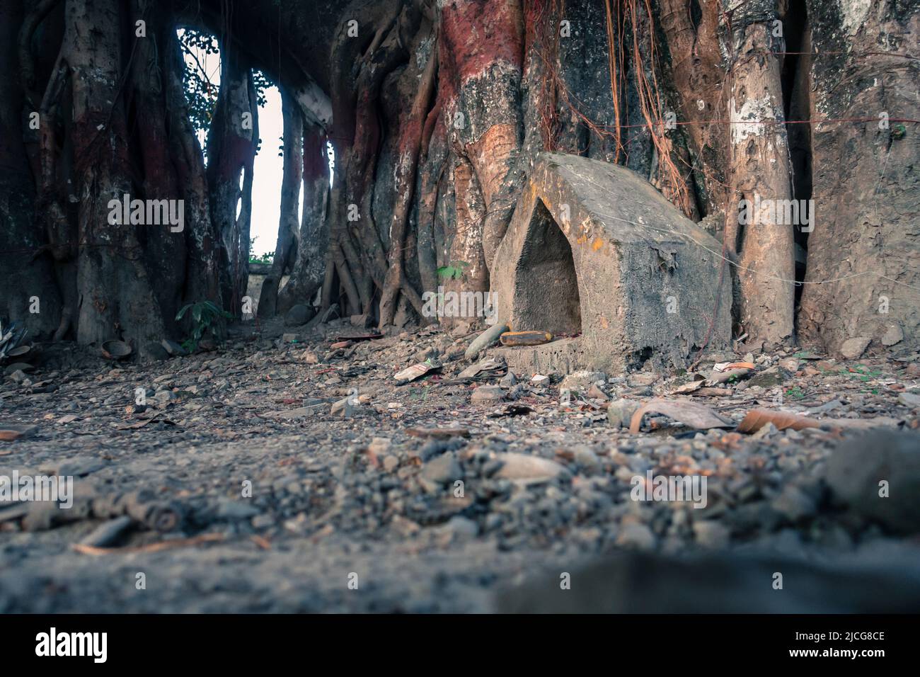 Un piccolo punto di preghiera triangolare di divinità indù sotto un albero banyan. Dehradun Uttarakhand India. Questi piccoli monumenti triangolari sono molto comuni a Hind Foto Stock