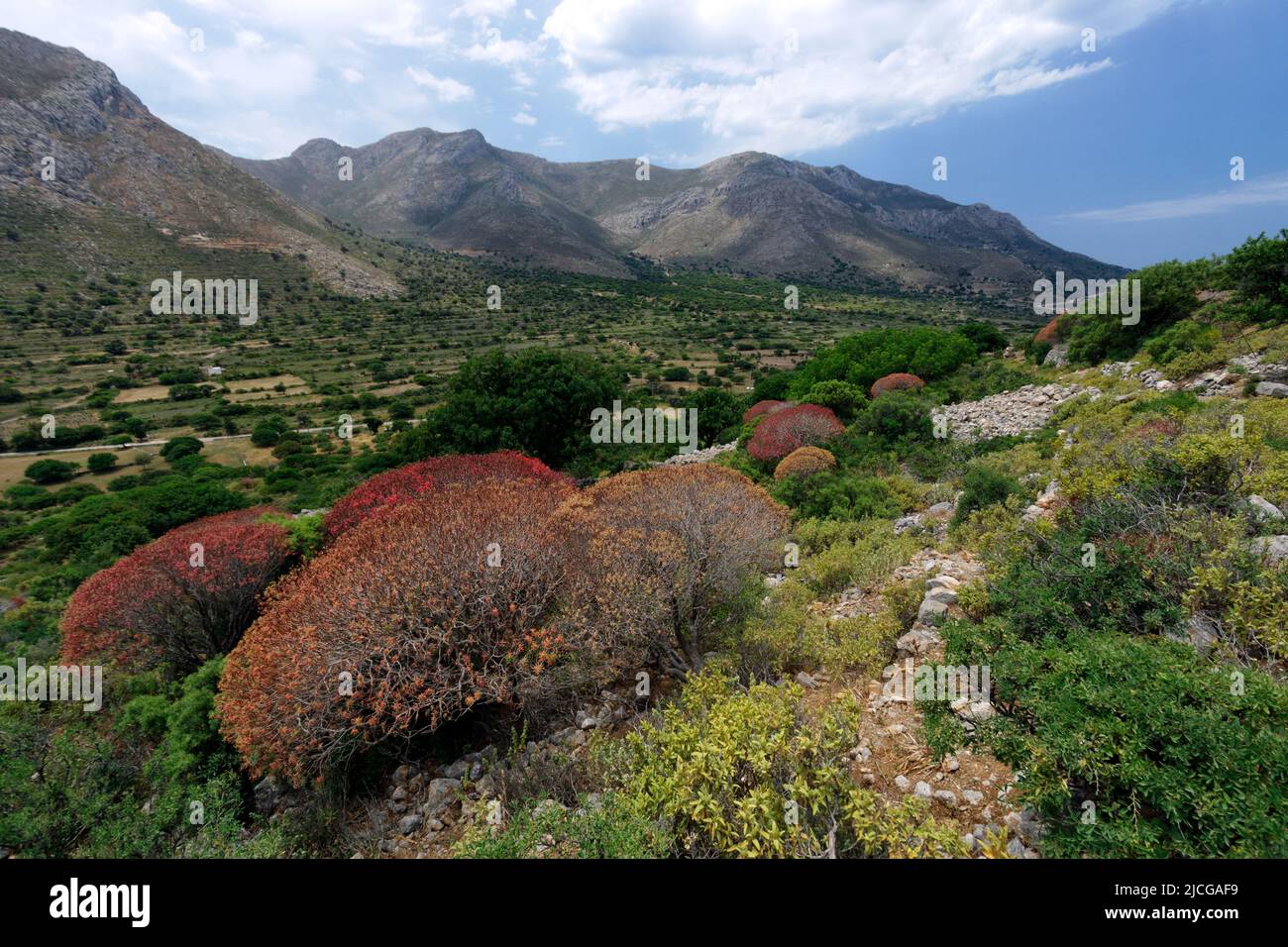 Sentiero che dalla Megalo Horio e Aghios Antonios, Tilos, isole Dodecanesi, Egeo Meridionale, Grecia. Foto Stock