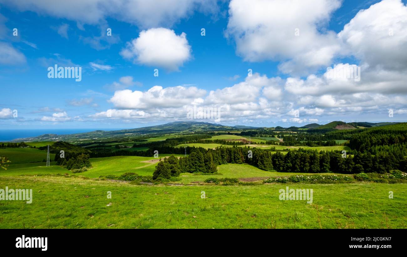 Bel prato verde su un cielo blu nuvoloso a São Miguel, Isole Azzorre, Portogallo. Natura incredibile paesaggio verde delle Azzorre. Foto Stock