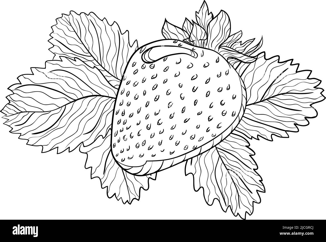Fragola intera con foglie in stile doodle Illustrazione Vettoriale