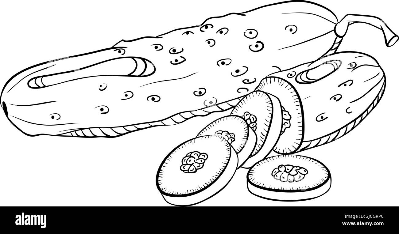 Cetrioli interi e tagliati a fette in stile doodle Illustrazione Vettoriale