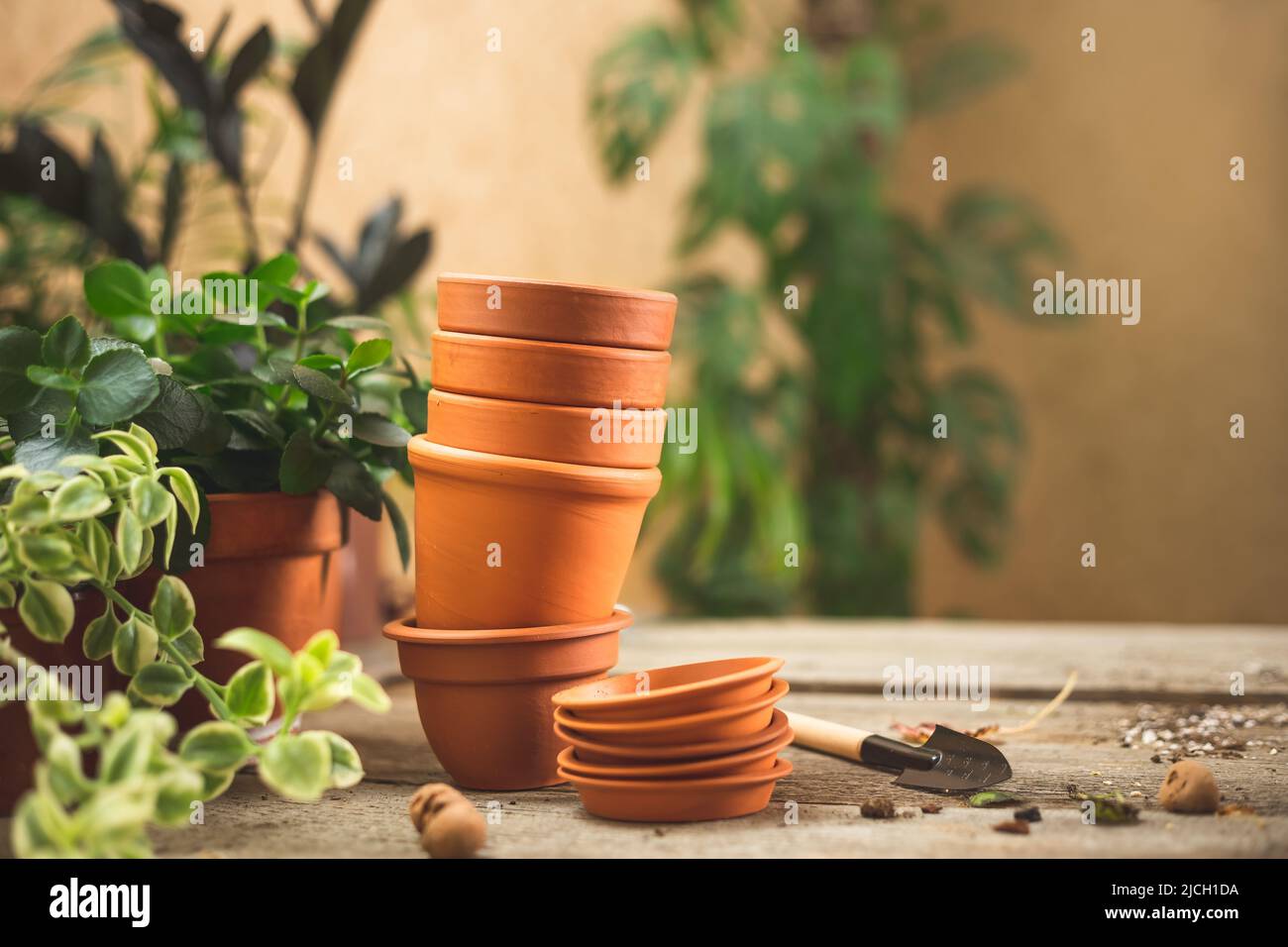 Pila di piccoli vasi di terracotta in ceramica, attrezzi da giardinaggio per succulenti, e un sacco di piante sul tavolo in legno. Concetto di conservazione e cura delle piante. Spazio f Foto Stock