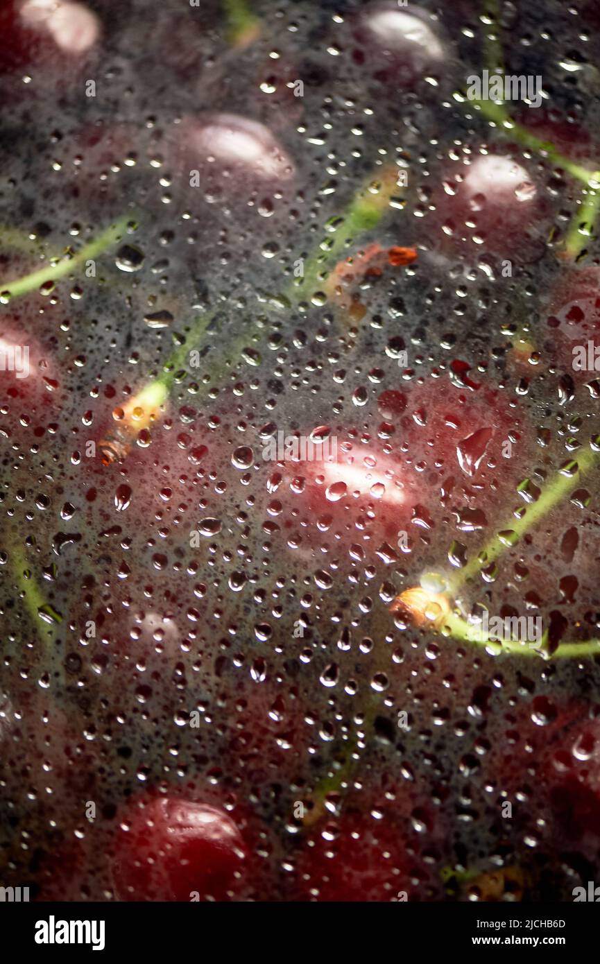 Ciliegie o ciliegie succose nell'acqua sotto il vetro appannato. Vitamine e bacche. Juiciness. Foto Stock