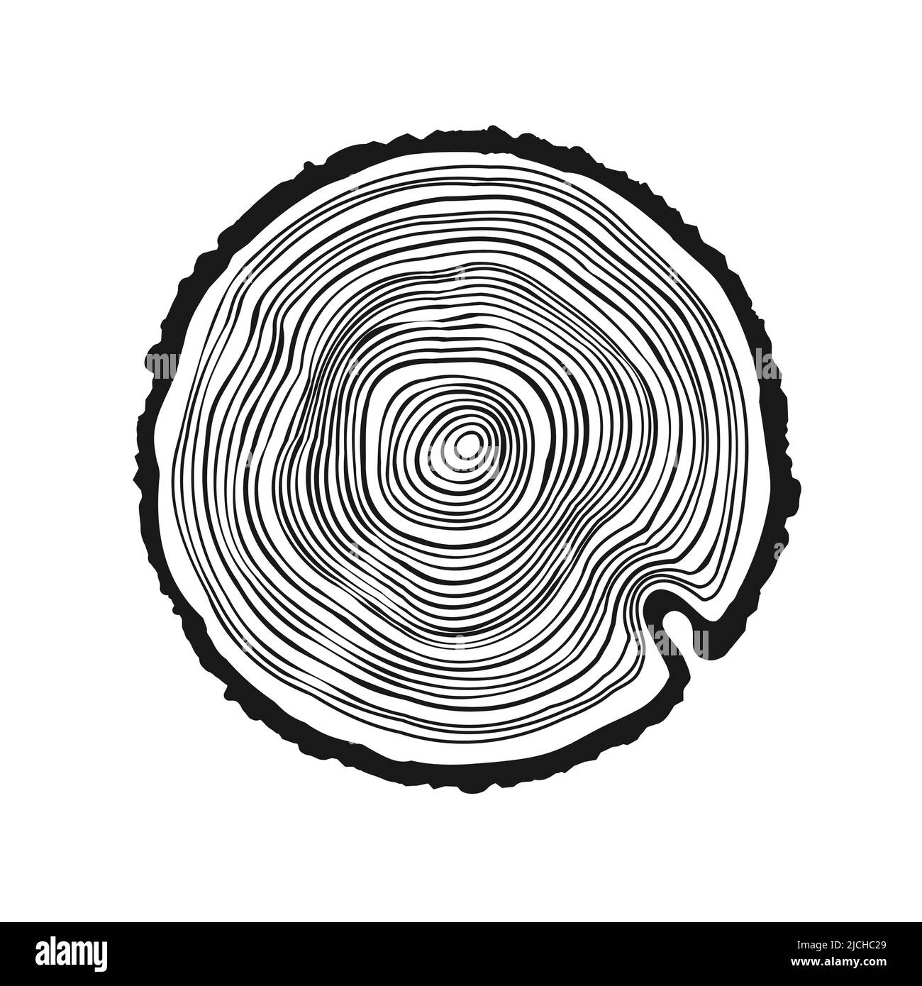 Tronco di albero rotondo tagliato, segato pino o fetta di quercia. Legname tagliato da poco, legno. Tessitura di legno con anelli di albero. Schizzo disegnato a mano. Illustrazione vettoriale Illustrazione Vettoriale