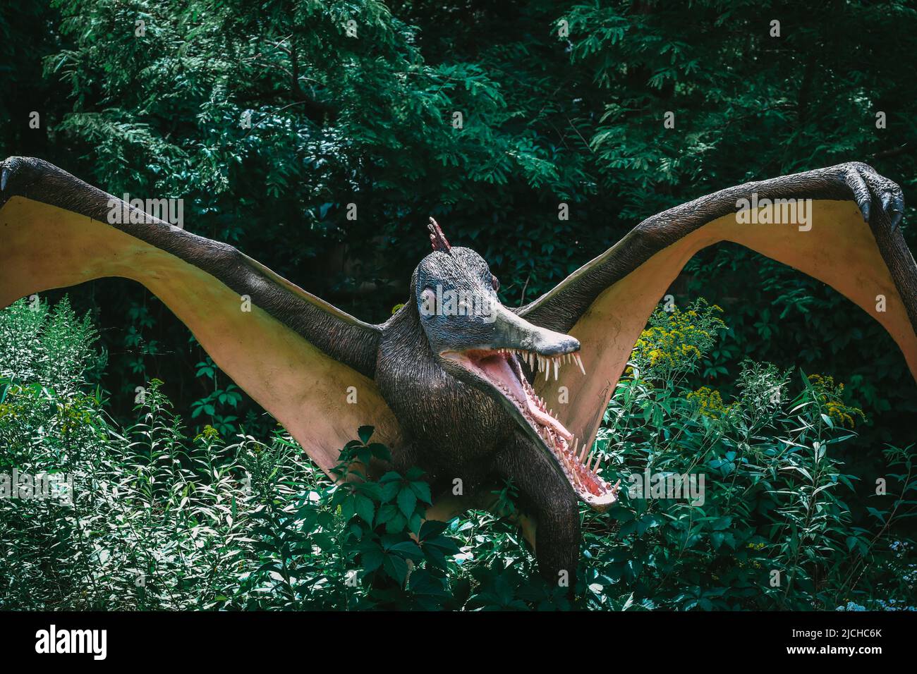 Modello reale di rettile volante Cearadactylus nel parco jurassic Foto Stock